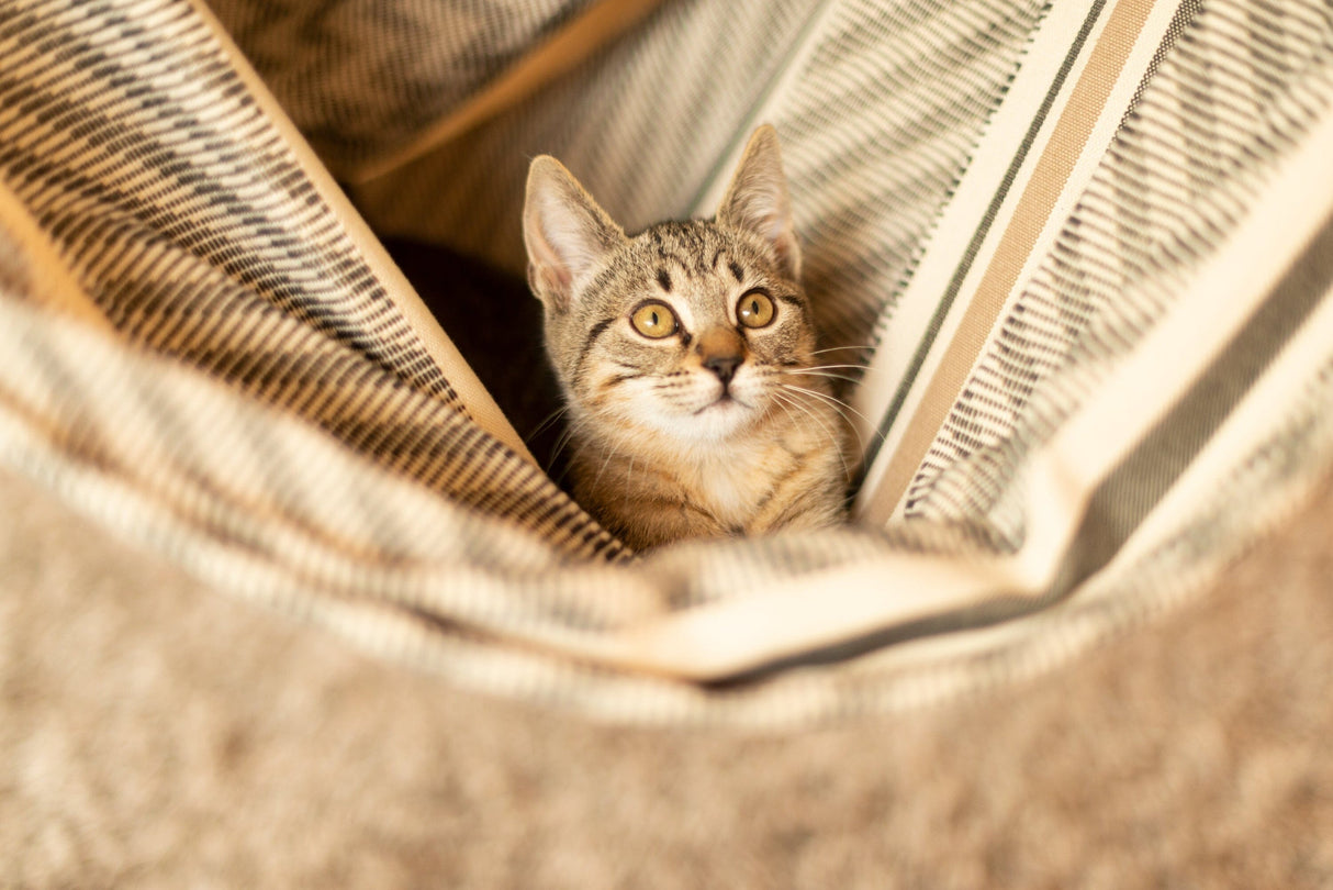 La Siesta Chaise Hamac Habana Kingsize 130cm